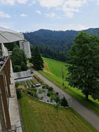 Bild von sizar b