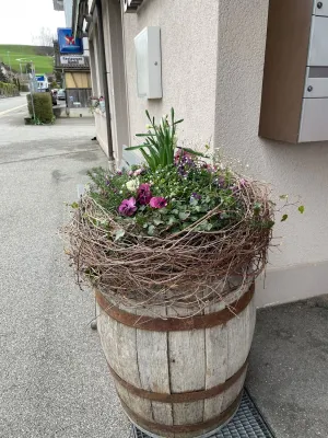 Treffpunkt Bänkli