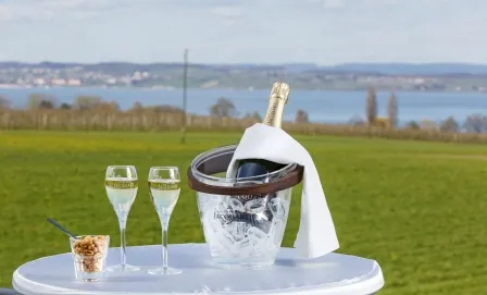 Bild von Hotel Restaurant Seemöwe AG