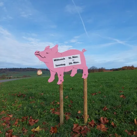 Bild von Restaurant Freudenberg, Stettfurt