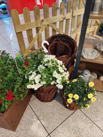Bild von Regula Knaus