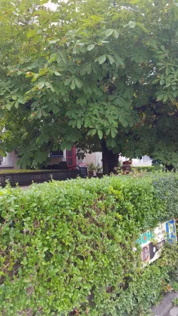 Bild von undefined