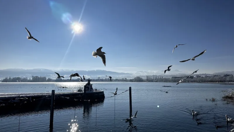 Bild von Nataly Photographer