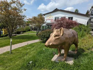 Restaurant Albis