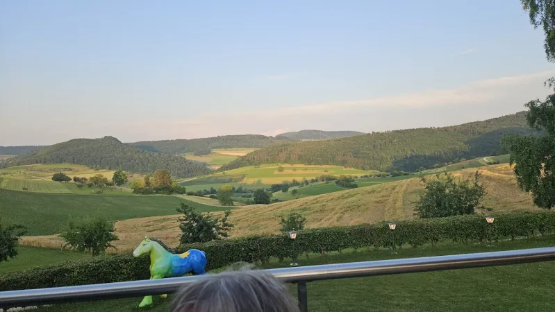 Bild von Hans Litscher