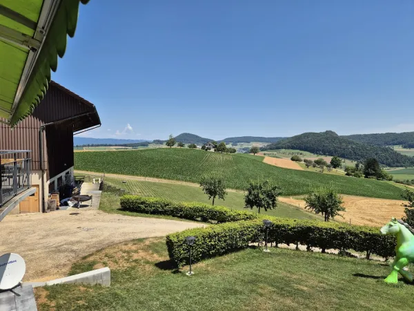 Bild von Belmadani Brigitte
