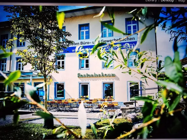 Bild von Restaurant Kastanienbaum