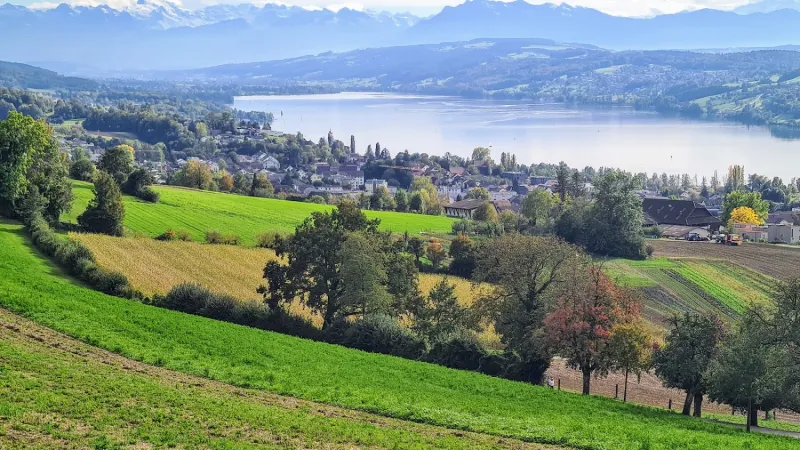 Bild von Pit Fehr