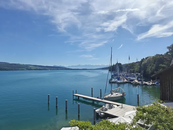 Bild von undefined