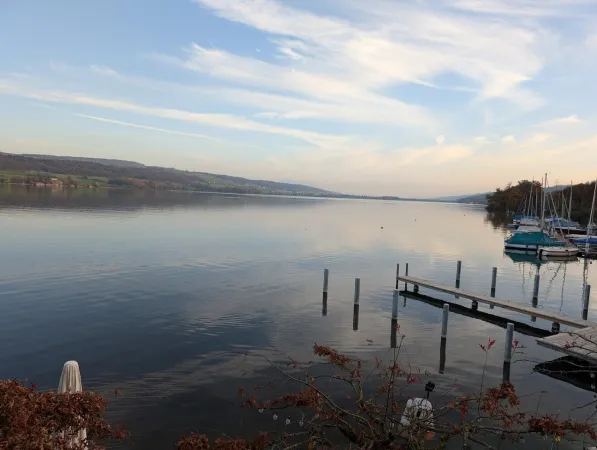 Bild von undefined