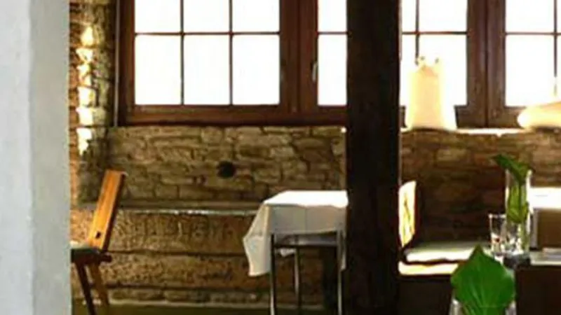 Bild von Bären Mägenwil