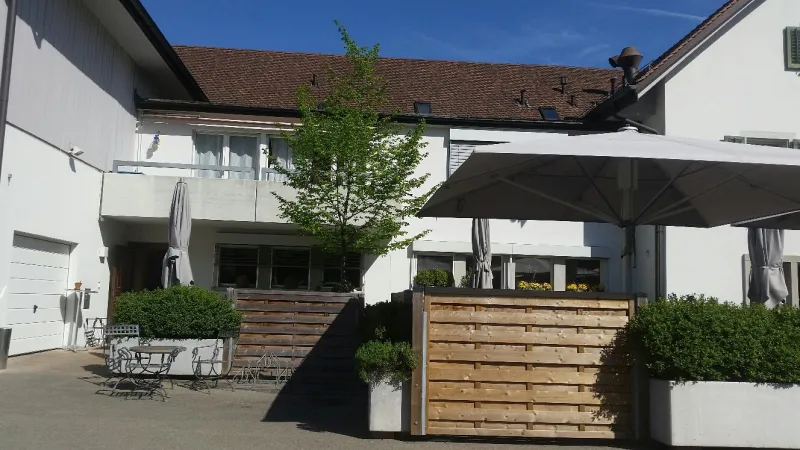 Bild von Bären Mägenwil