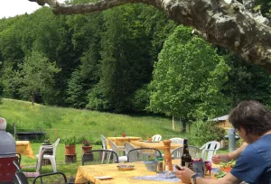 Restaurant Barmelhof