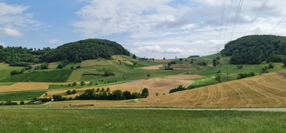 Bild von undefined