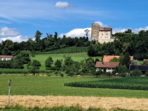 Bild von undefined