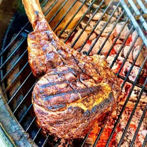 Landgasthof Frohsinn | Restaurant | Gartenterrasse | Grill