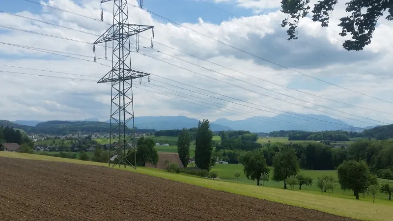 Bild von Simone Hentschel