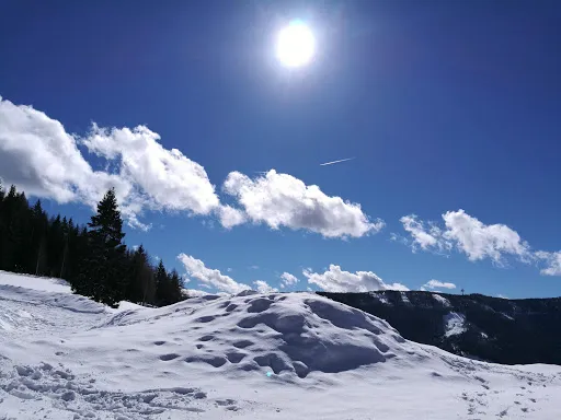 Bild von Jausenstation Rettensteinhütte