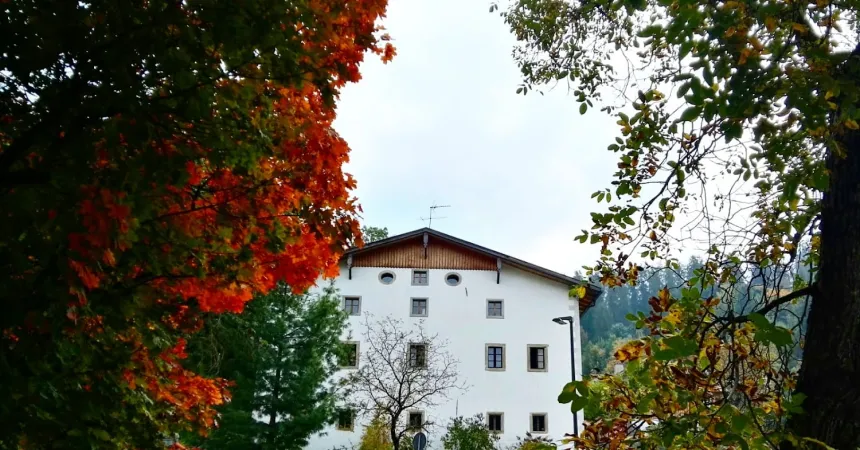 Bild von Schlosshof Baumann