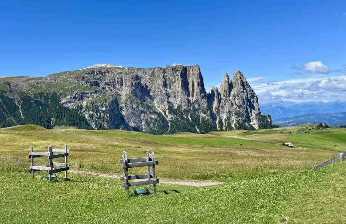 Bild von Sosy Gusella