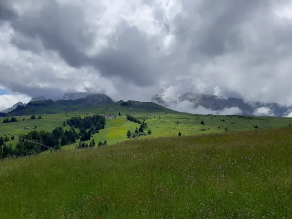 Bild von Marco Bargiani