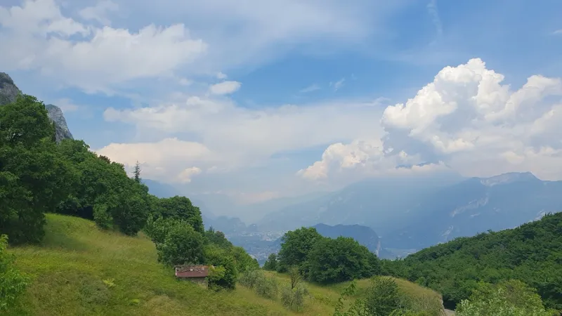 Bild von Astrid Doujak