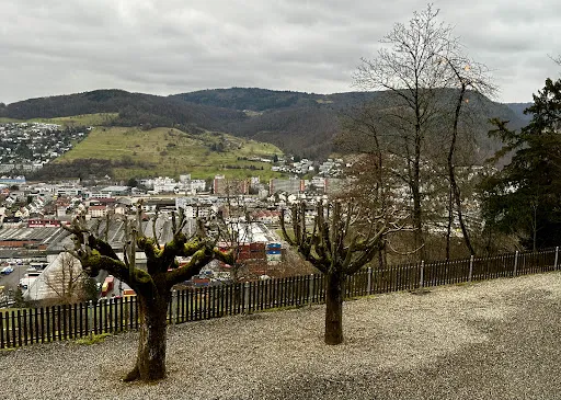 Bild von Hotel Restaurant Bienenberg