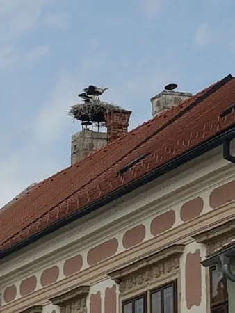 Bild von Römerzeche