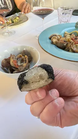 Bild von La Trattoria Blumenau