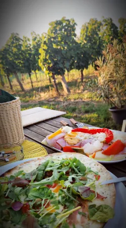 Bild von Hoffmann´s WeinZEIT