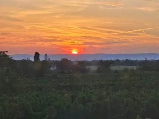 Bild von ROSSO.19