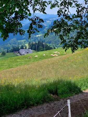 Bild von Restaurant Blapbach