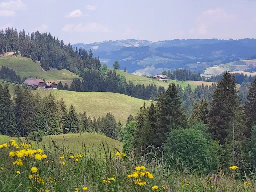 Bild von Restaurant Blapbach