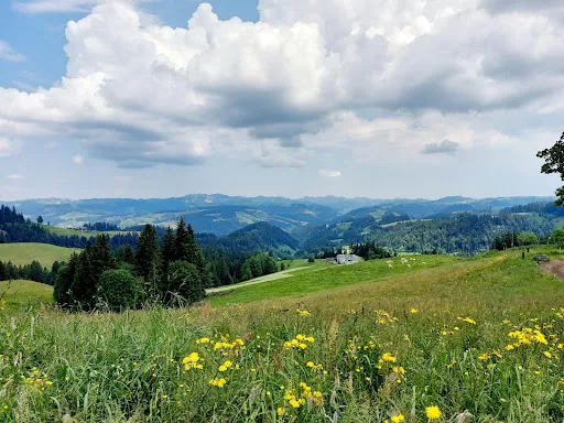Bild von Restaurant Blapbach