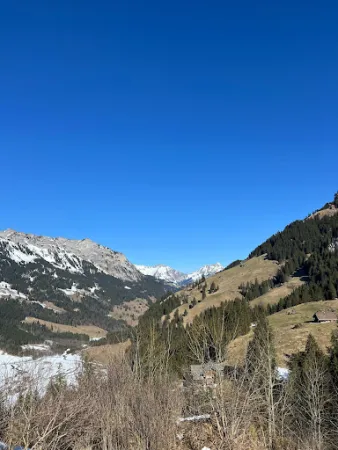 Bild von Griesalp Hotels