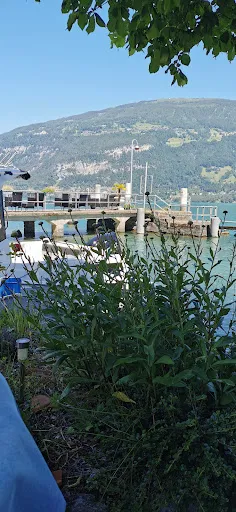 Hafepintli