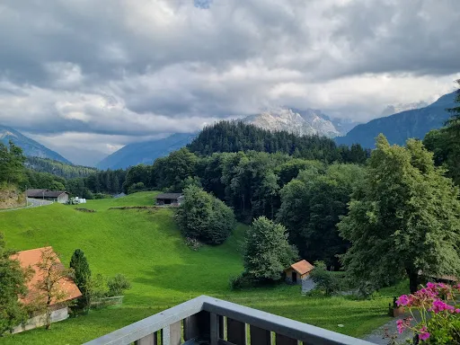 Bild von Hotel Wetterhorn Hasliberg