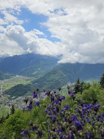 Bild von Harder Kulm Panorama Restaurant