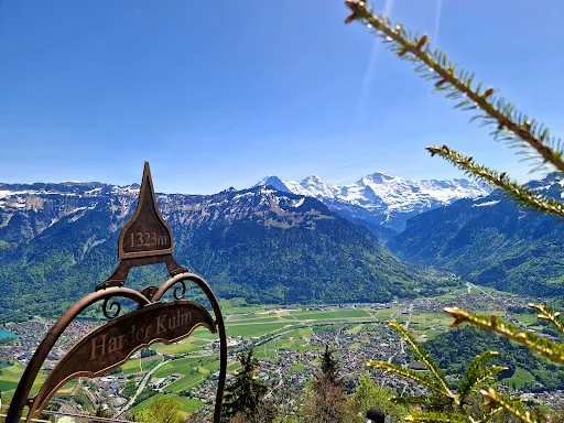 Bild von Harder Kulm Panorama Restaurant