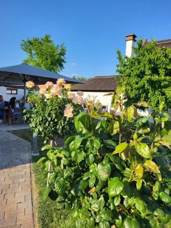 Bild von Laberei
