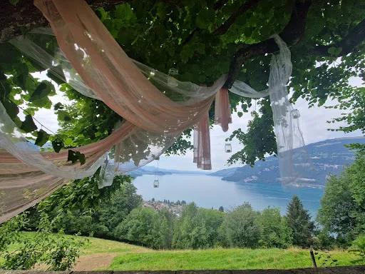 Bild von Pension Finel