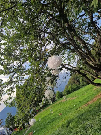 Bild von Pension Finel