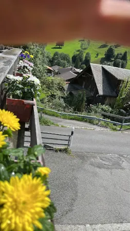 Bild von Hotel Alpenrose Saxeten