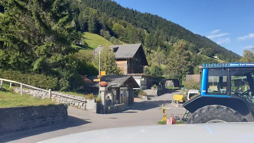 Bild von Hotel Alpenrose Saxeten