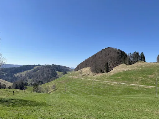 Bild von Bergwirtschaft Hinter-Brandberg