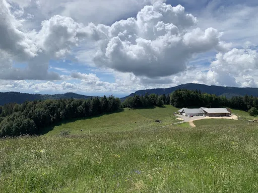 Bild von Bergwirtschaft Hinter-Brandberg
