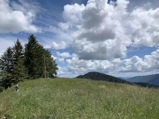 Bild von Bergwirtschaft Hinter-Brandberg