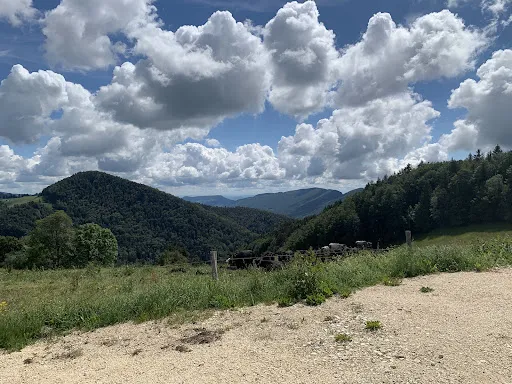 Bild von Bergwirtschaft Hinter-Brandberg