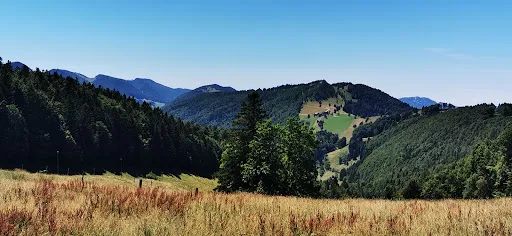 Bild von Bergwirtschaft Hinter-Brandberg
