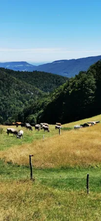 Bild von Bergwirtschaft Hinter-Brandberg